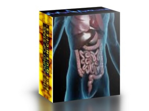 Product picture COLON and BOWEL HEALTH   4.mp3