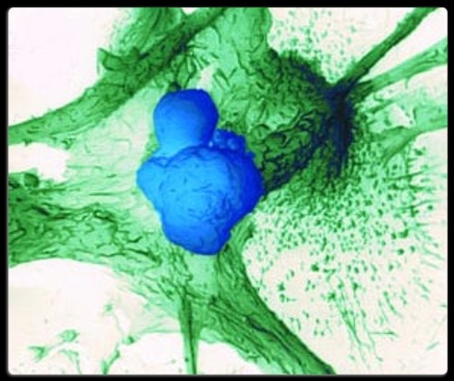 Product picture MAF DEEP GLOW   EASY LISTENING A.mp3